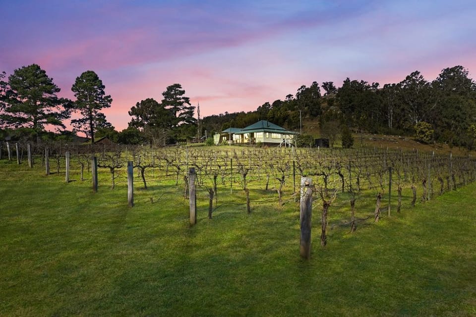 The Verdehello vineyard is in your front yard