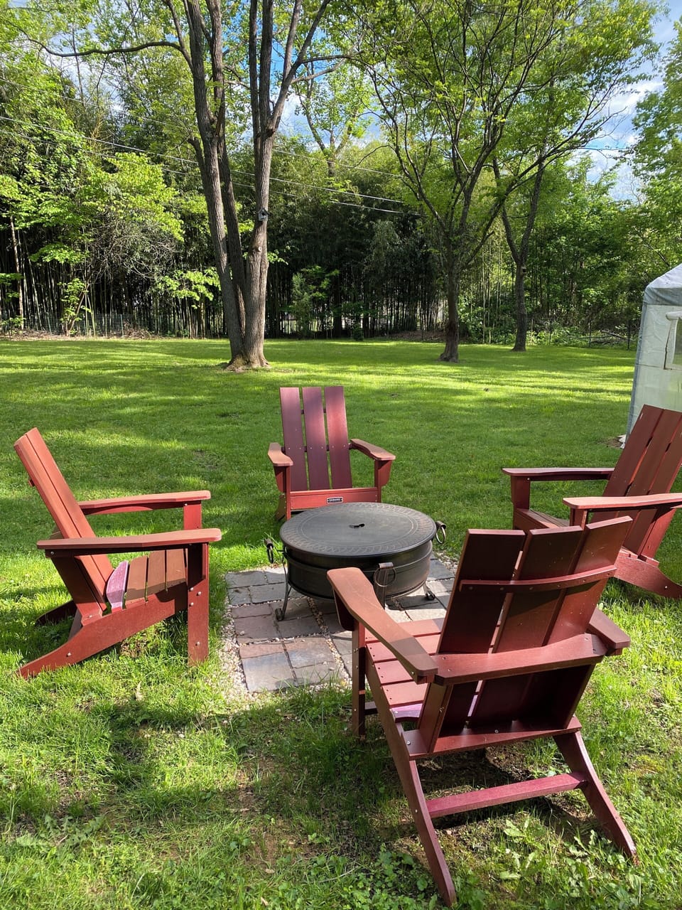 back yard spring 2025