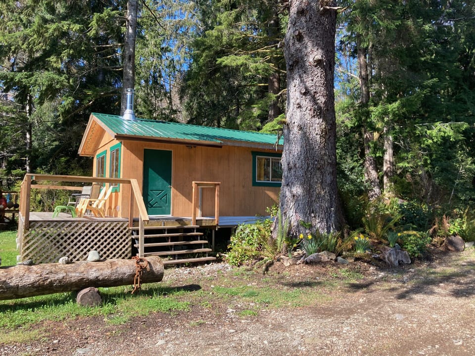 Quatsino Oceanfront Guest Cabin

