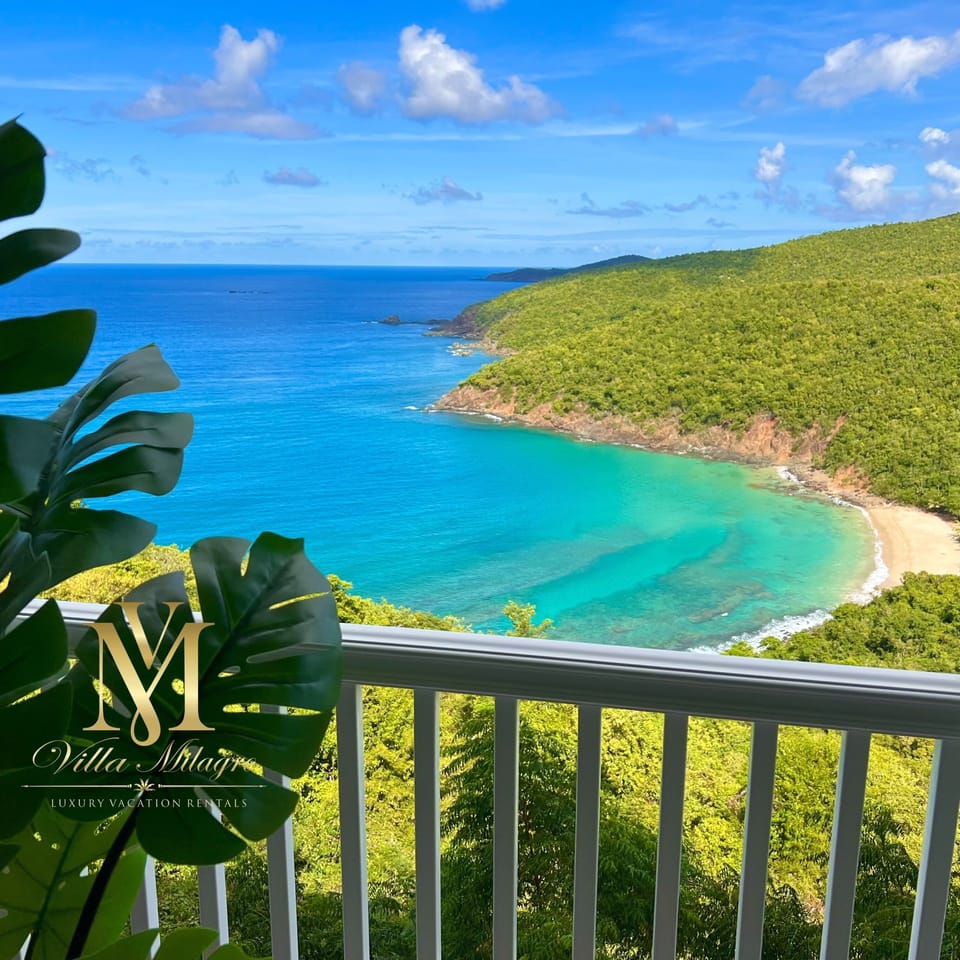 The magazine worthy view from the back porch