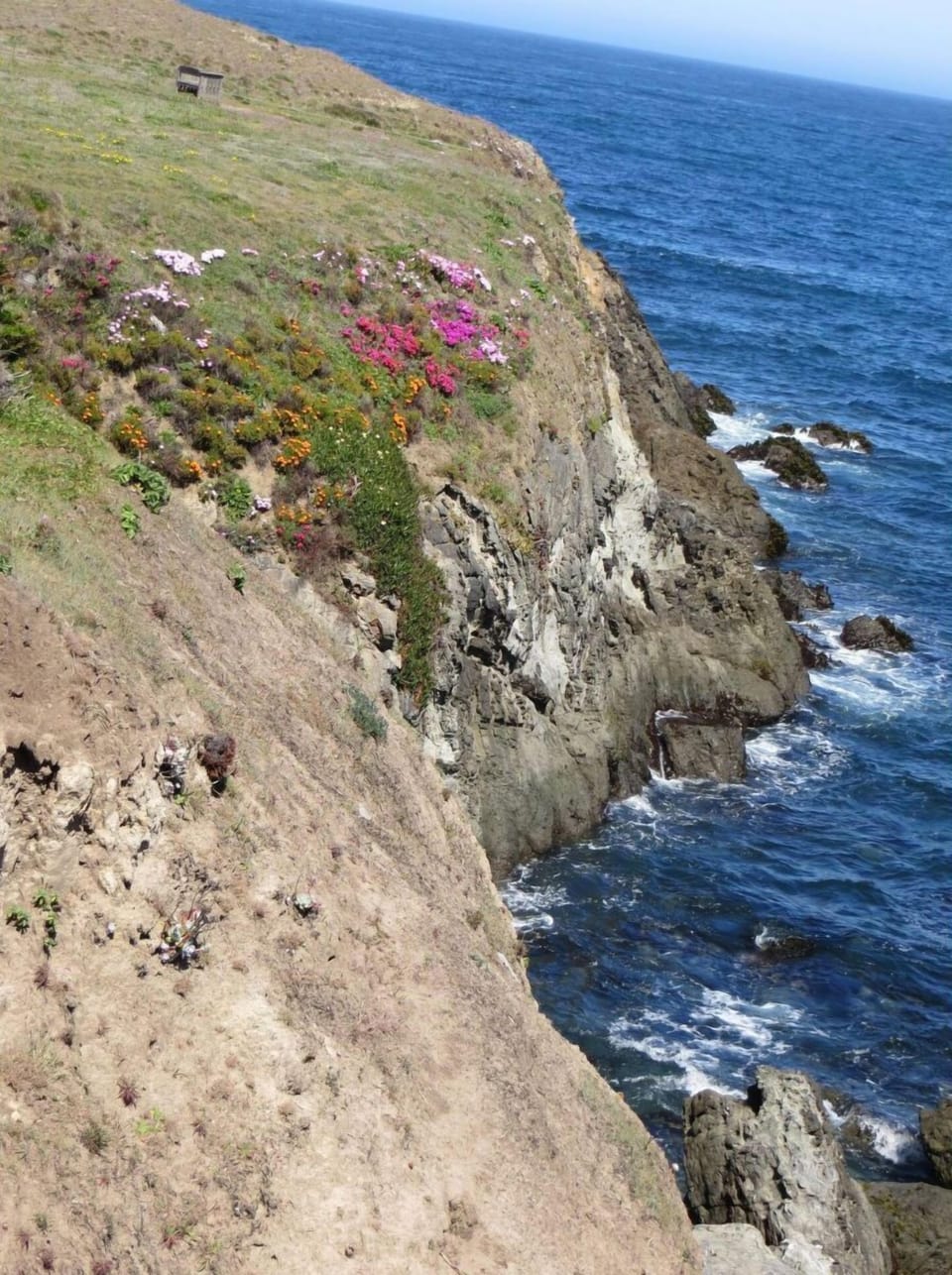 Ocean is a 30 minute drive