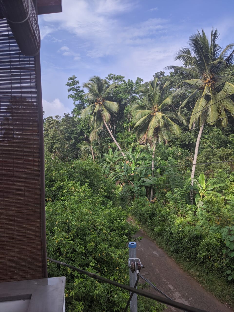 View from property