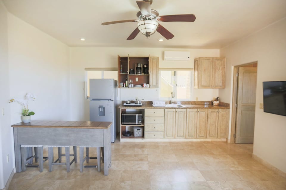 Kitchen: full fridge, microwave, induction tops, coffee machine, dish drain, etc