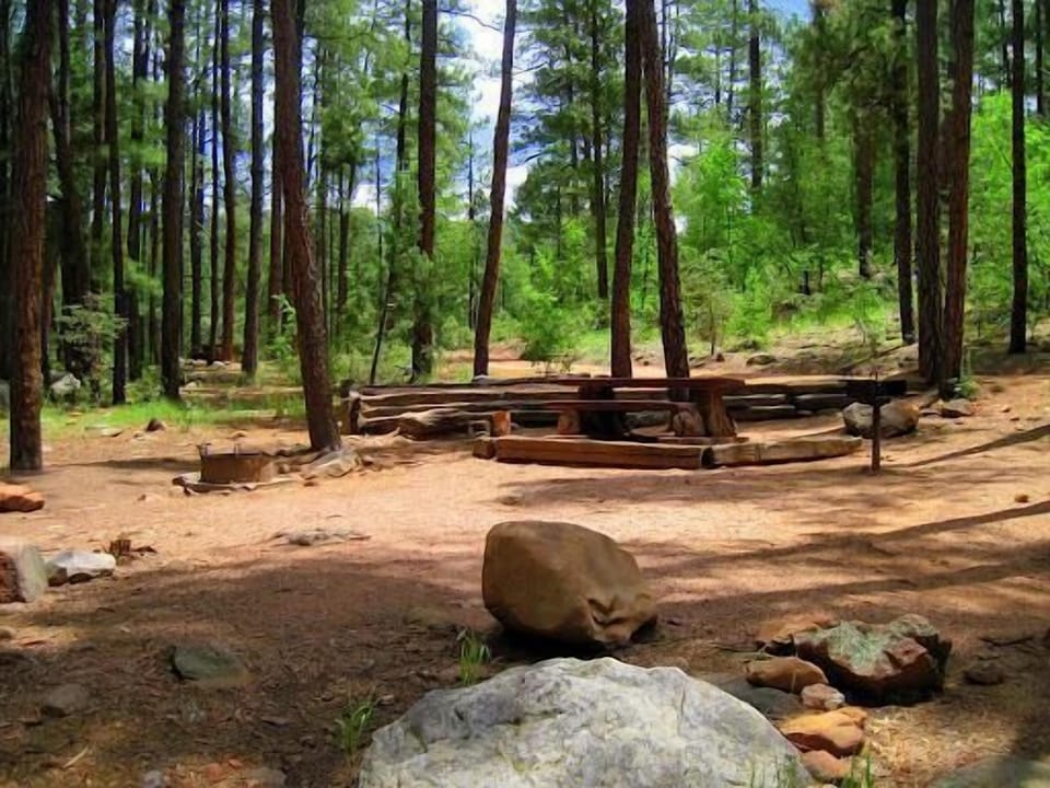 Unwind with a shaded picnic spot surrounded by tall pines.