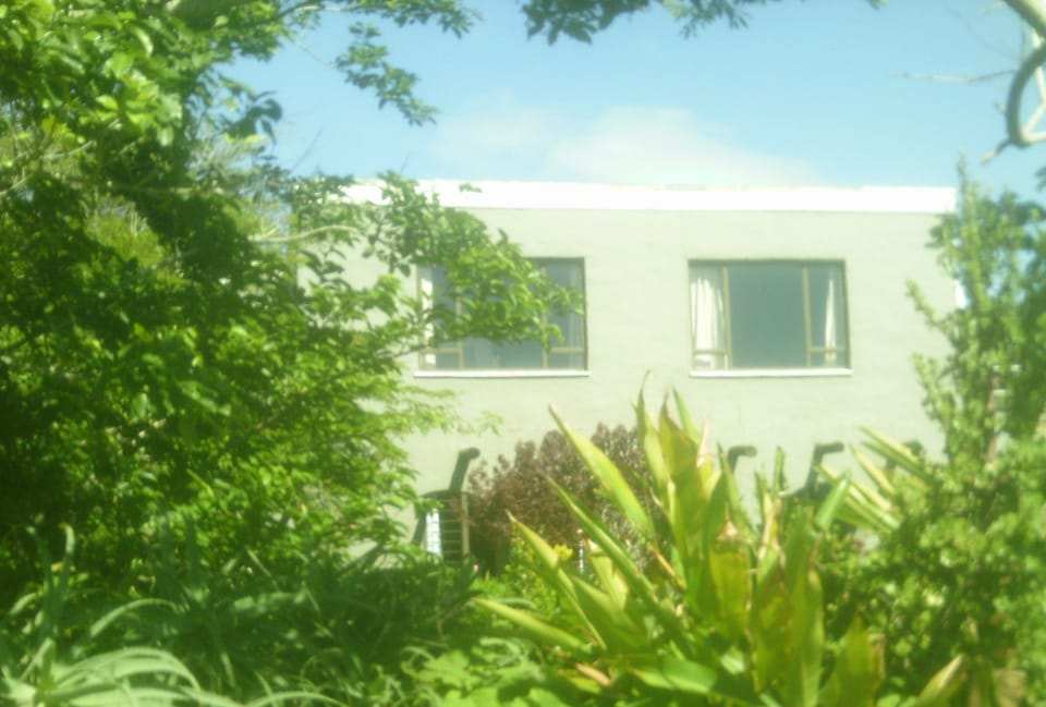 A view of the apartment from the road looking through the garden