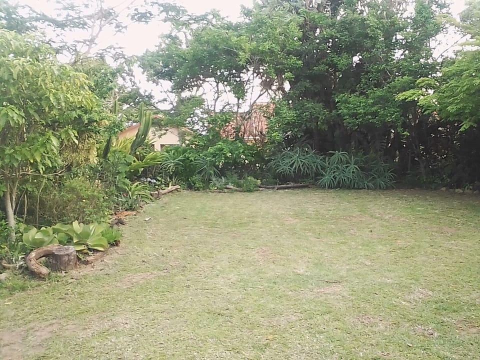 Our garden