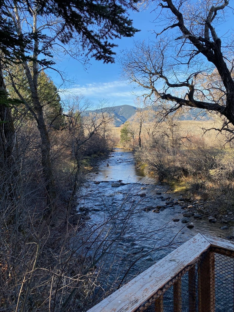 View from property