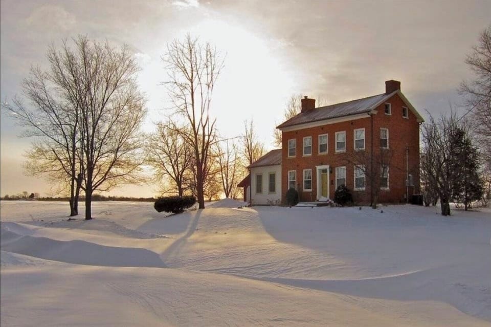 Rufus Abbott in winter! 