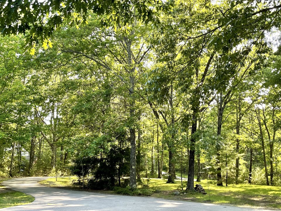 Entrance to property