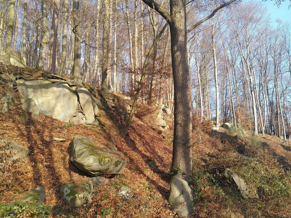 Miscellaneous