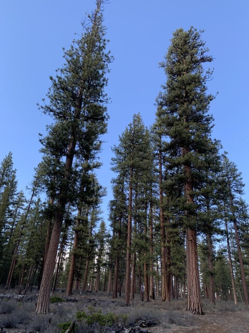 Local area for hiking near Fall River