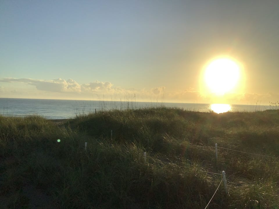 Beach