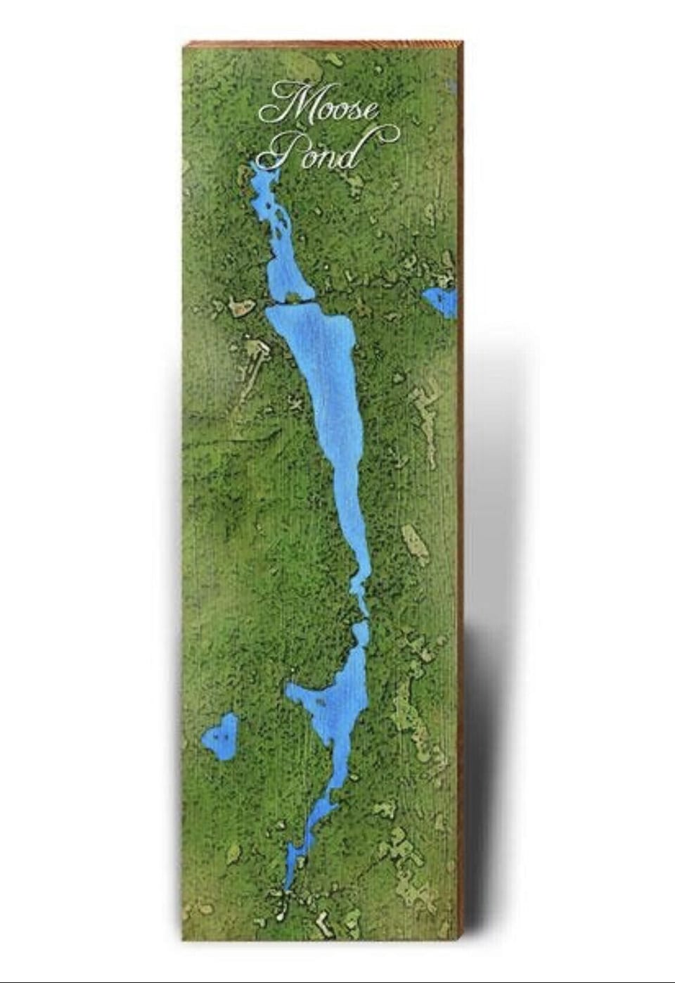 Enjoy 7 miles of wildlife and water fun on Moose pond. 