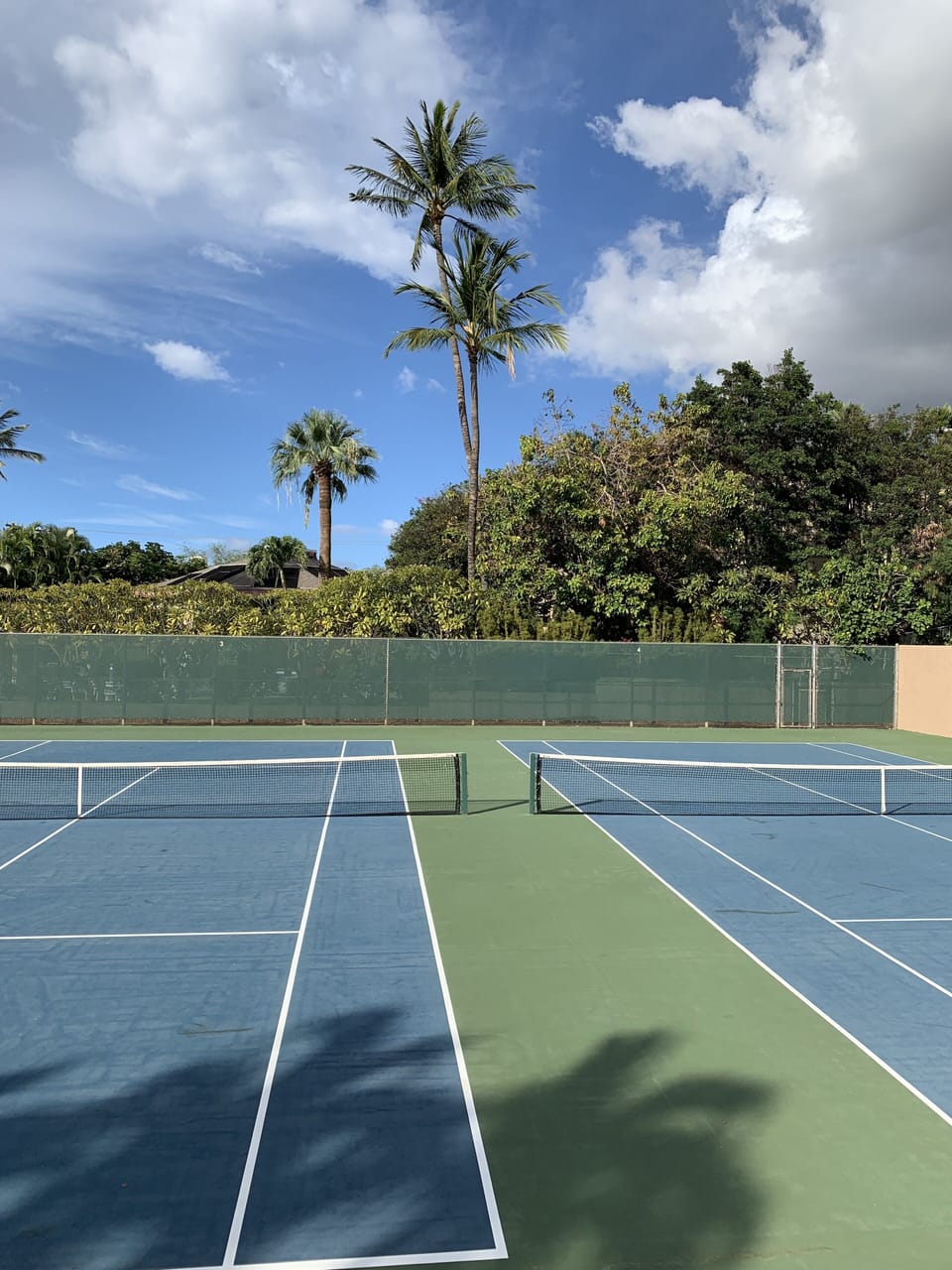 Sport court