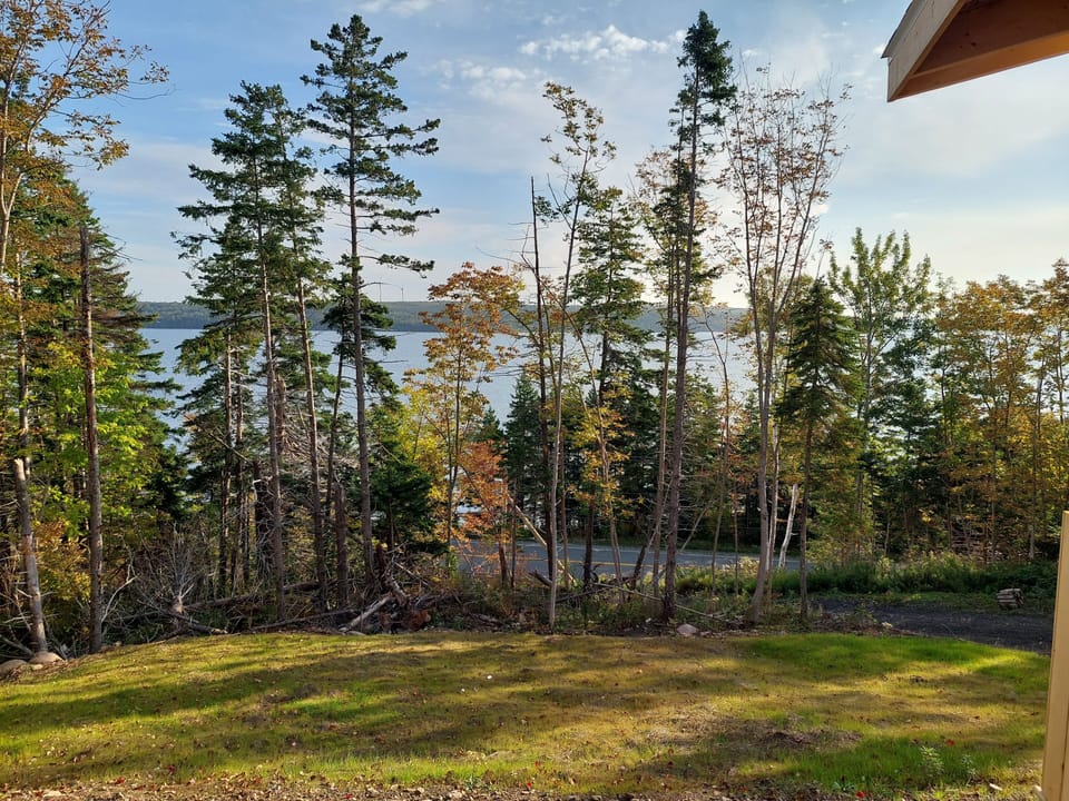 View of the Canso Straight - watch the fishing, sailing and large ships go by