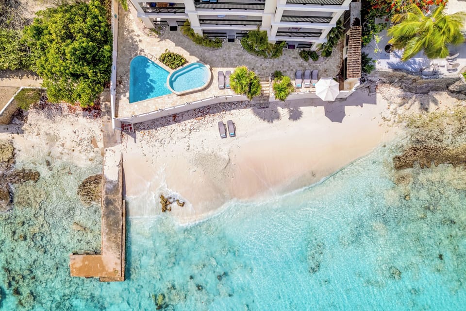 bird view of the complex 