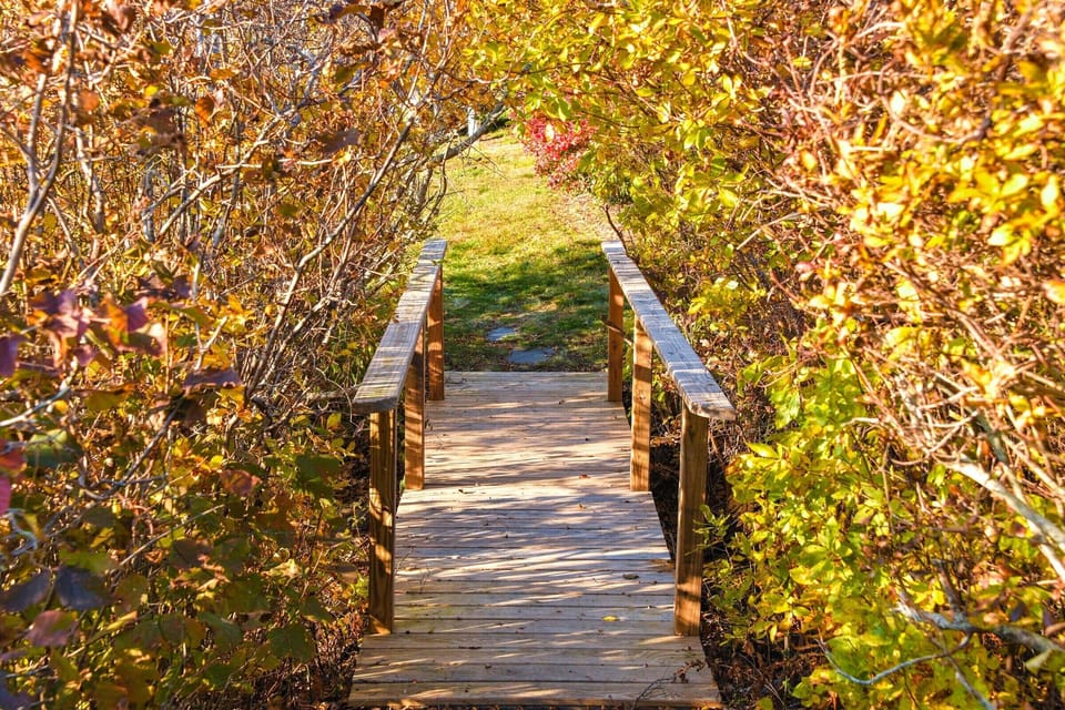 Bridge connecting to our Main house (can be rented together if desired).