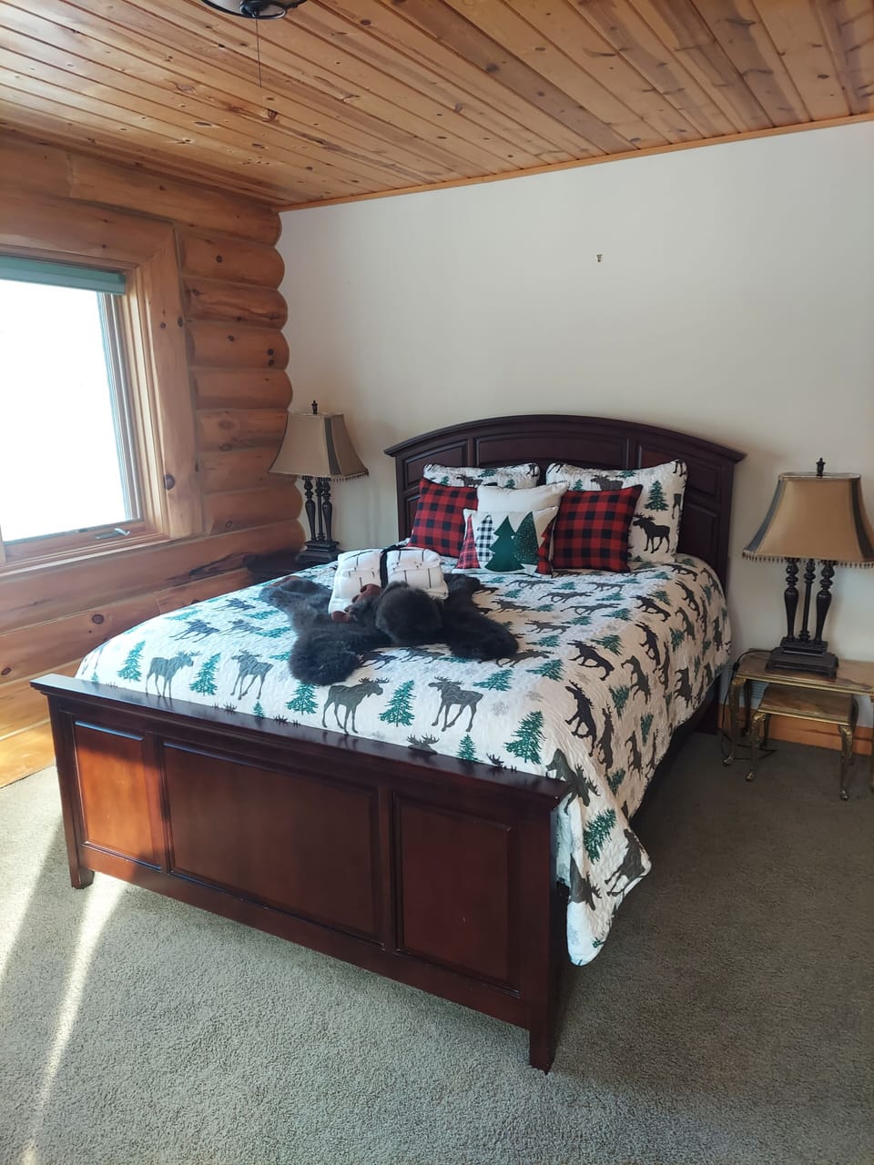 Moose Room - Queen bed