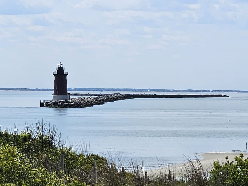 Lighthouse and sunset sails, dolphin watching and live music cruises available 