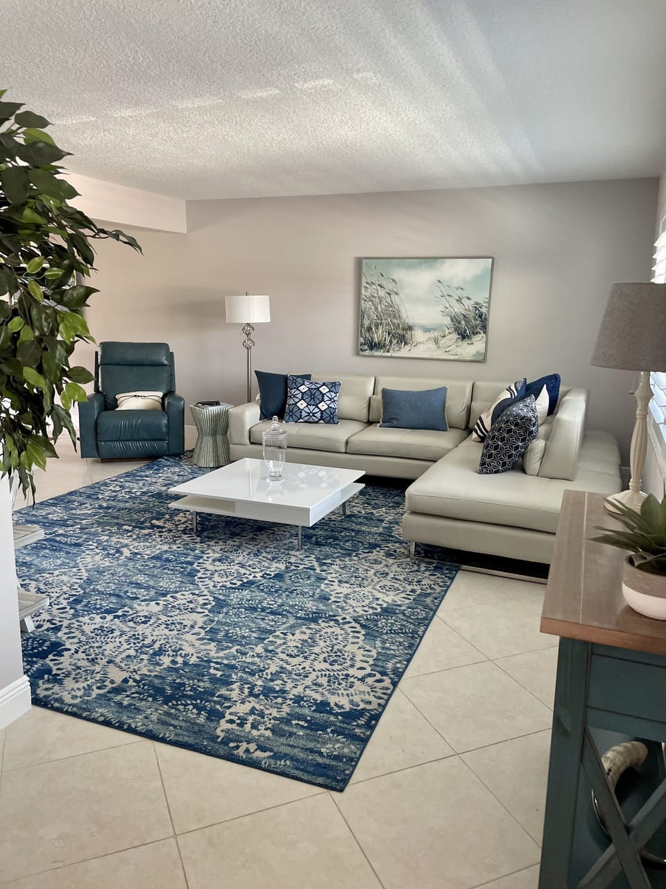 Living Room Large TV