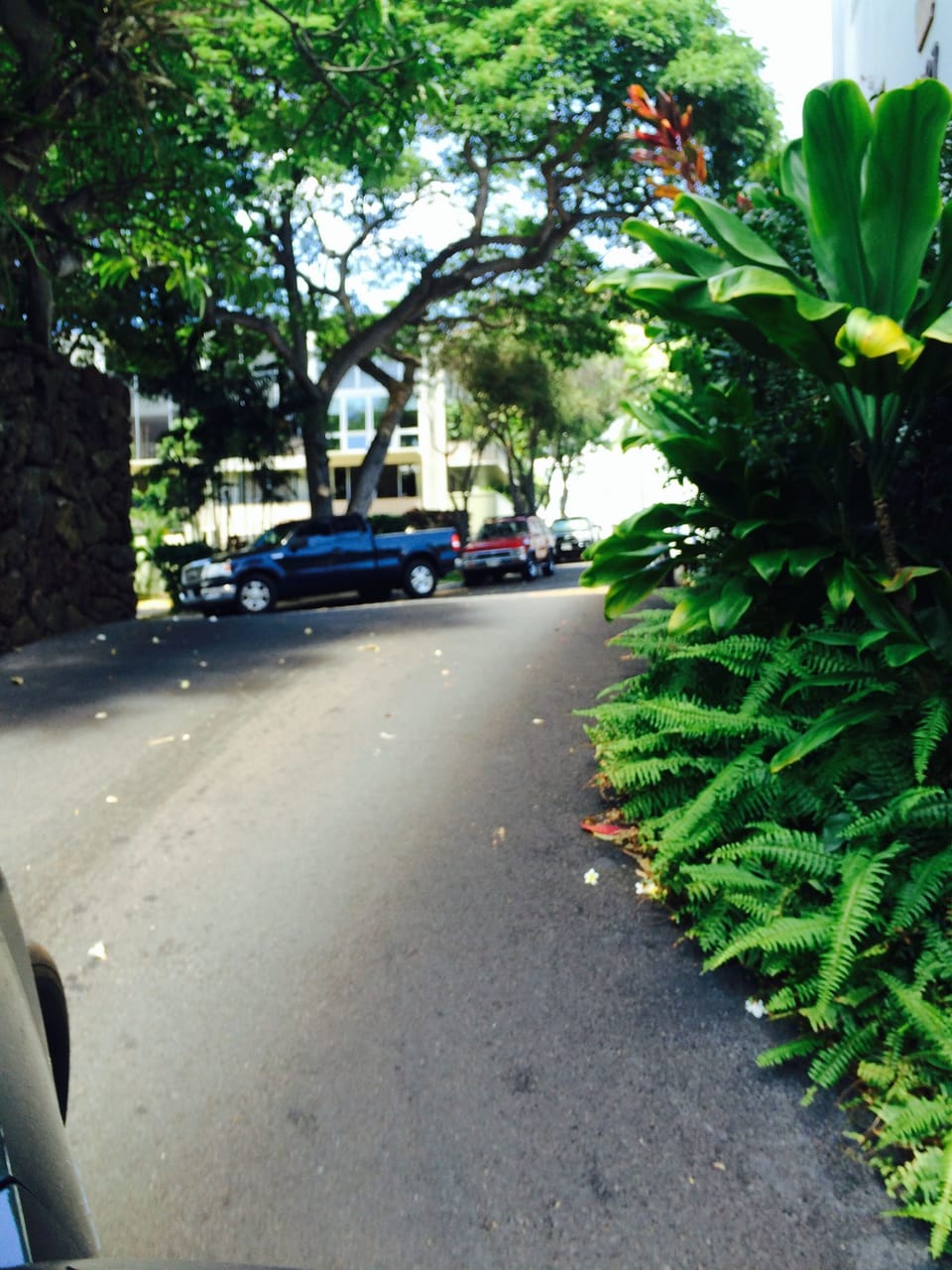 Property grounds