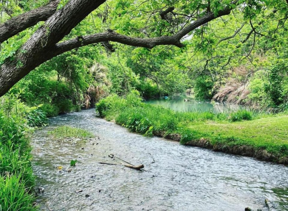 Shallower areas where little kids can play.