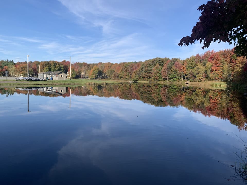 A view of the lake from our dock