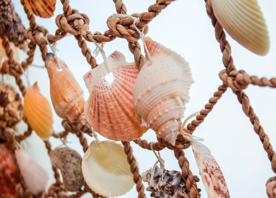Shells as a lovely decor