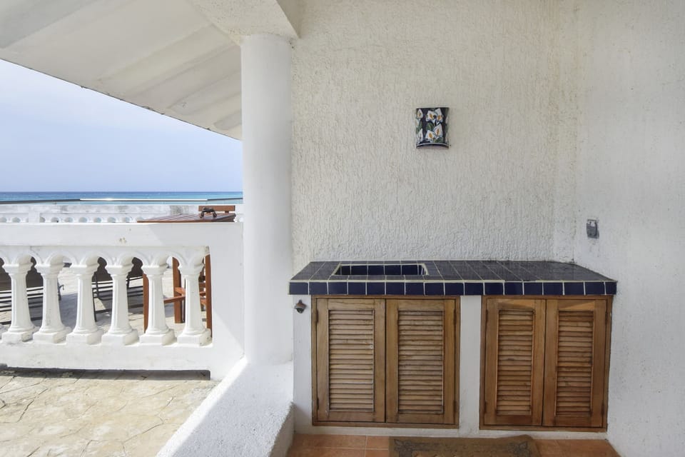 Create your favorite tropical cocktails out on the terrace and sip while you get your tan on!