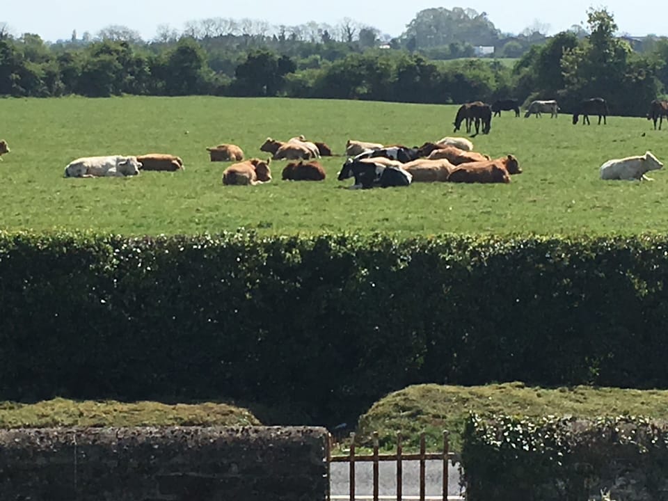 located on a working family farm. 