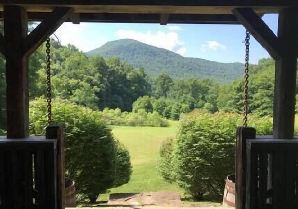 The view from the french doors in the kitchen.