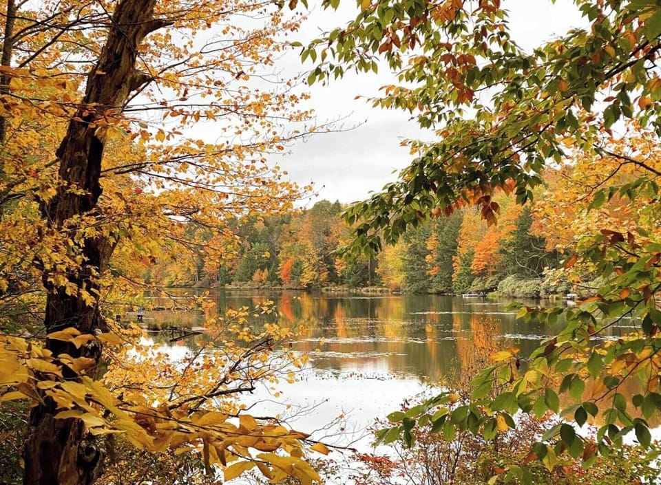 Smallwood's own Mountain Lake is gorgeous year-round! It takes about 40 minutes to walk around the lake.