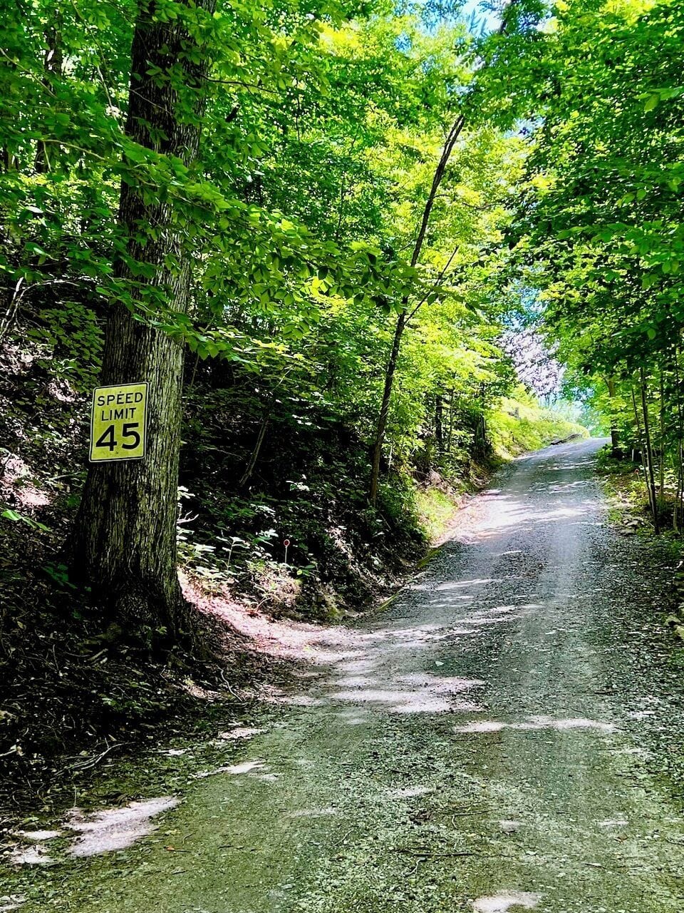 4WD or AWD vehicles are needed for the steep gravel drive