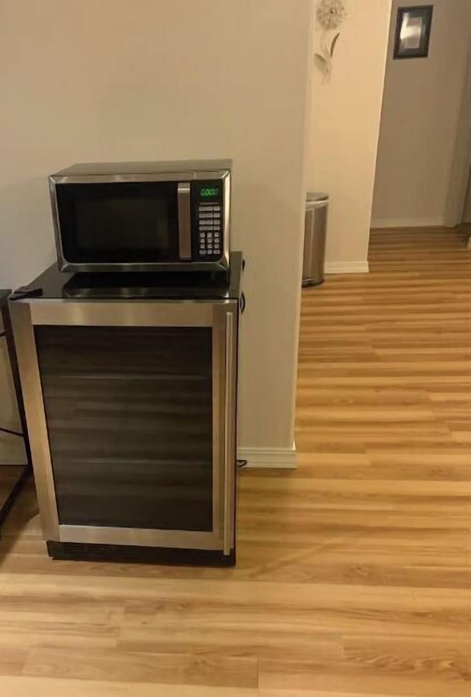 Refrigerator and microwave 