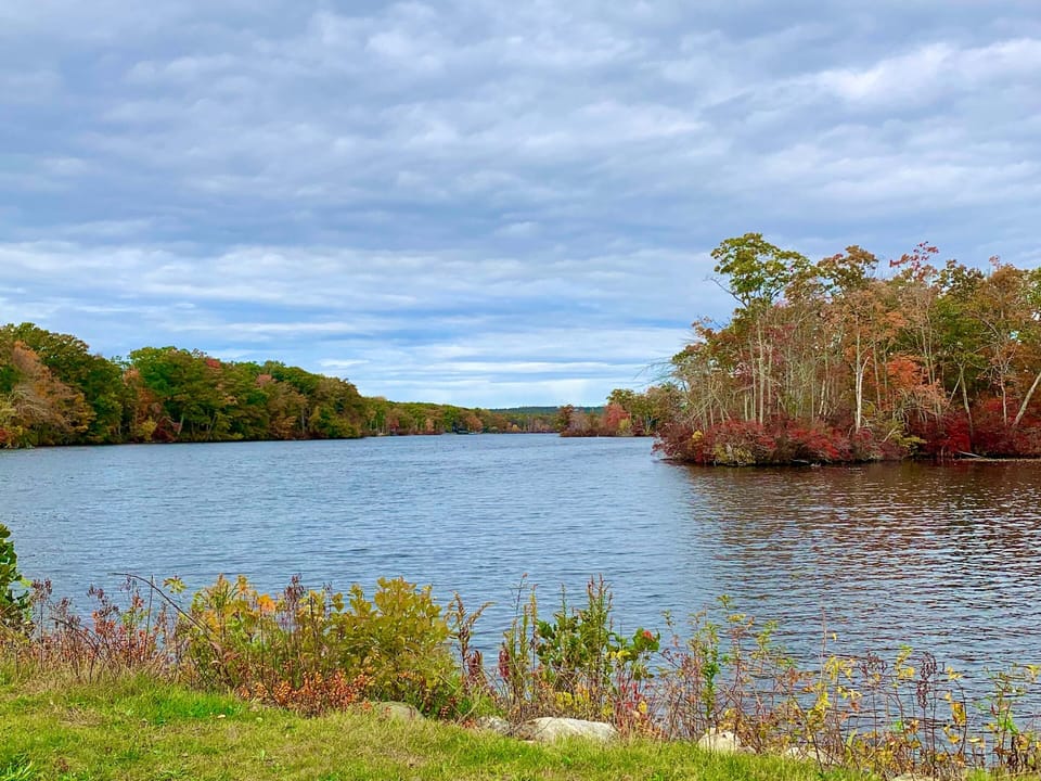 Lake Williams (Fall)