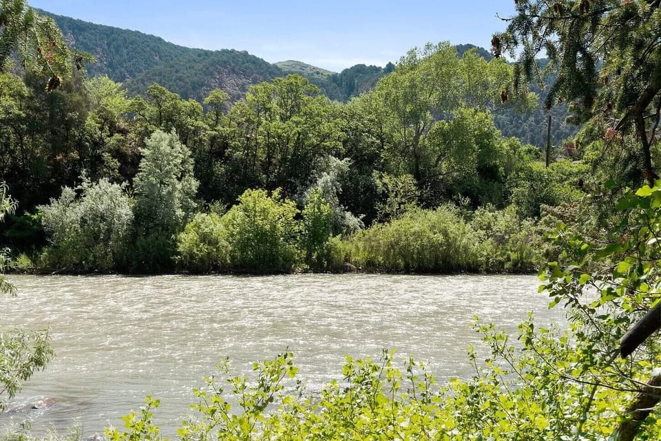The view from the bottom of the stairs to the river