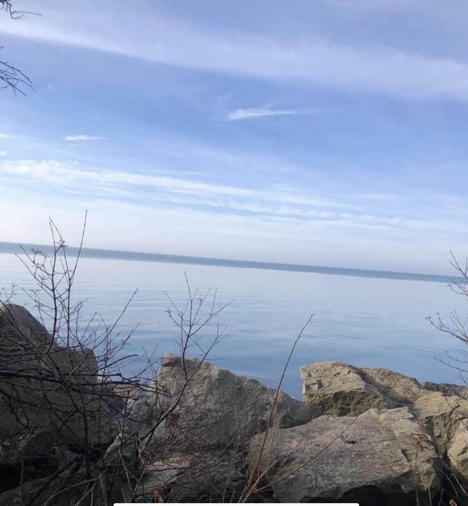 View from the shoreline