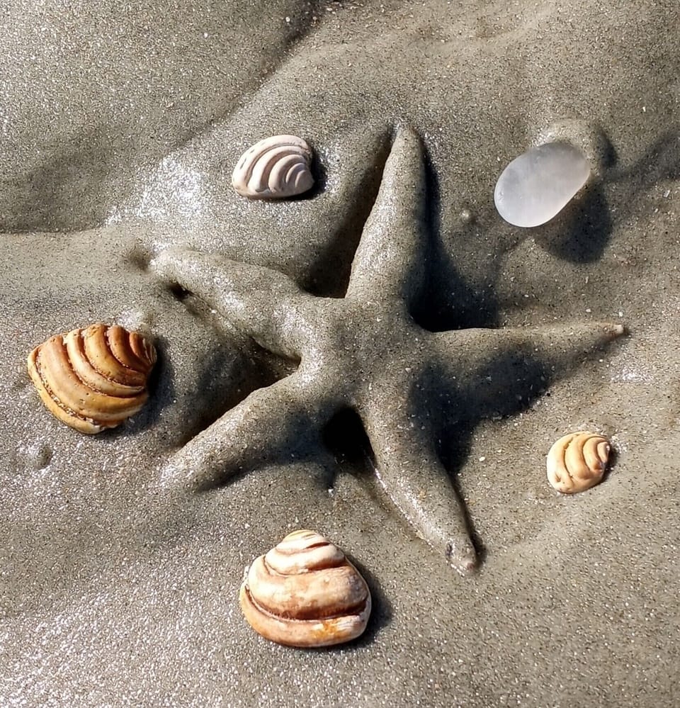 Shell hunting on local beaches at low tide.