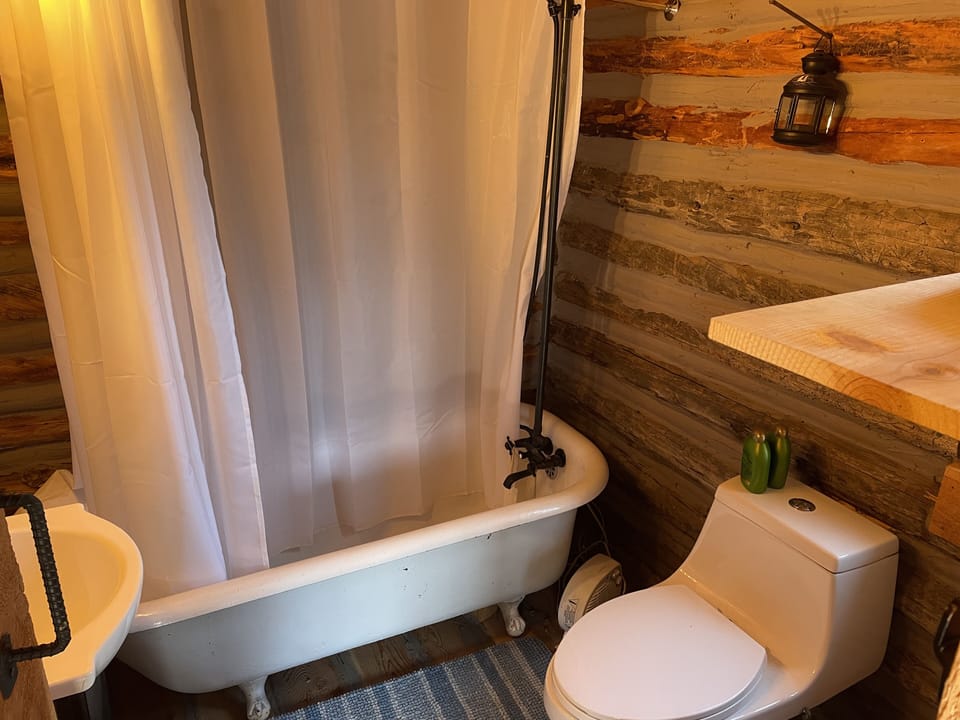 Cabin #1 
Sleeps 4: 1 Queen +2 twin bunks
Full bath / dining table / coffee+ tea