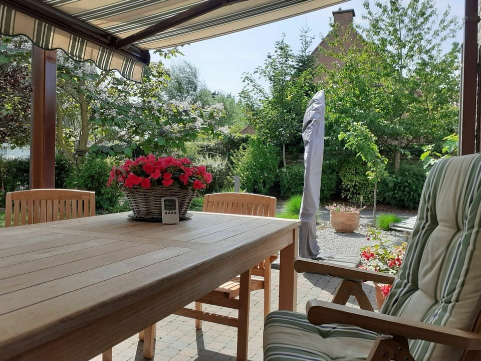 Flower, Plant, Furniture, Flowerpot, Sky, Building, Houseplant, Botany, Table, Interior Design