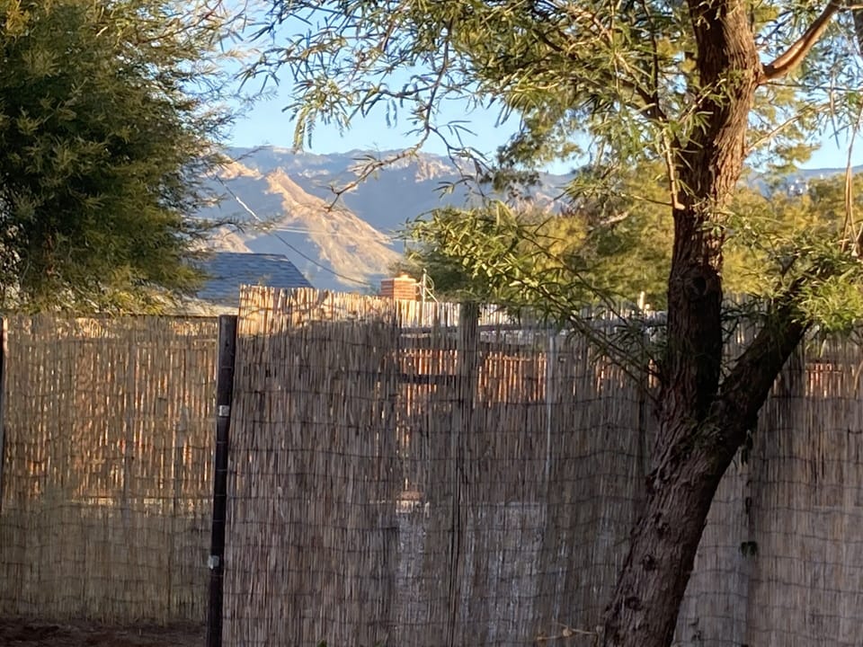View of Mount Lemmon from backyard