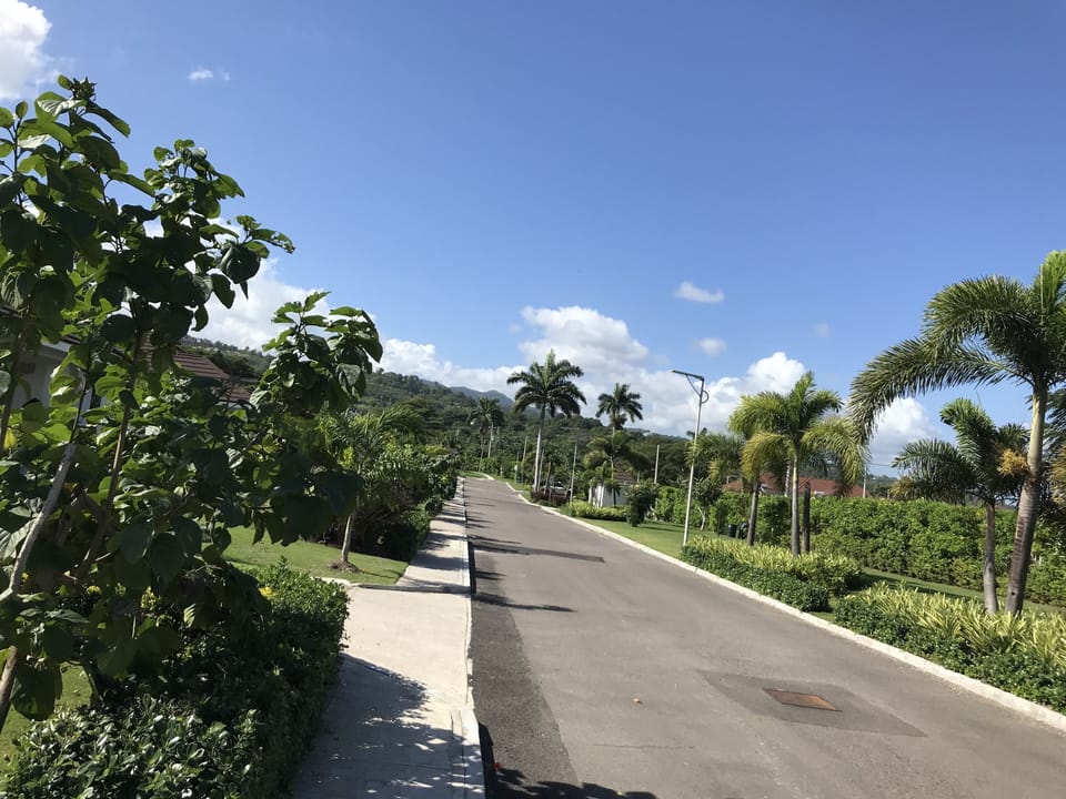 View from porch