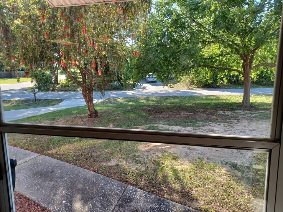 View from the front door. 