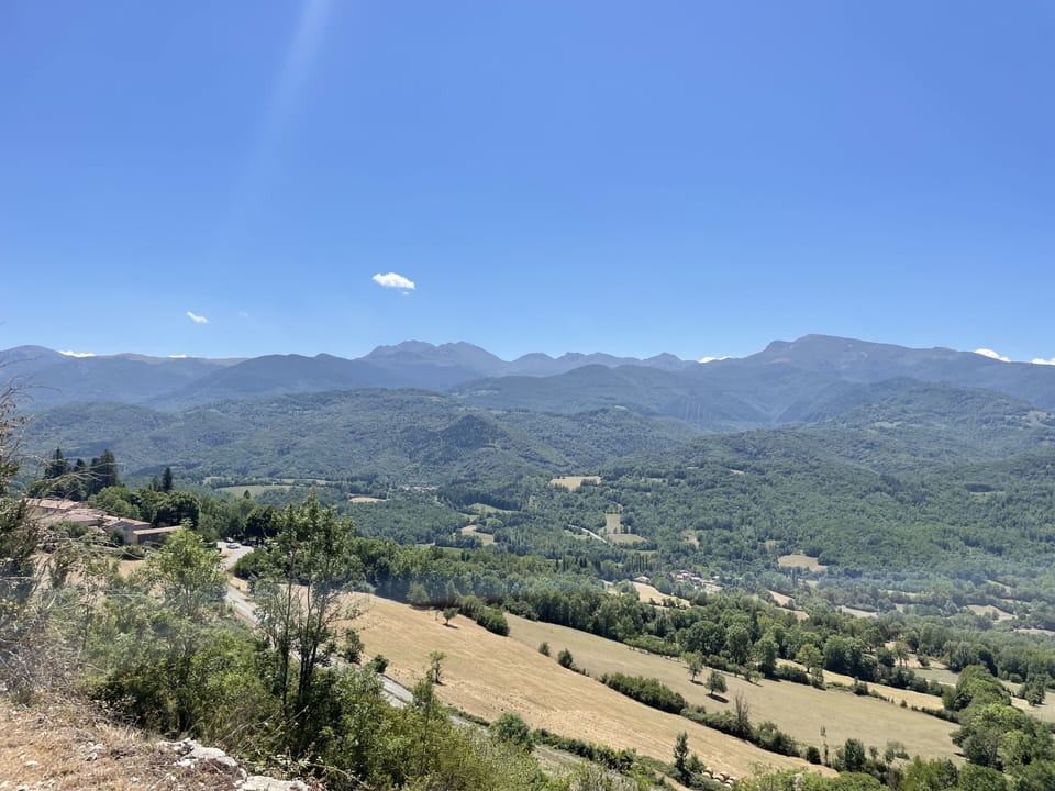 Local area