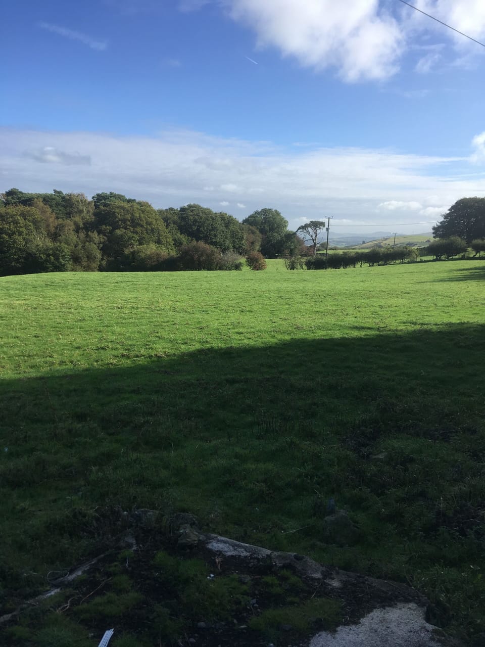Image 14