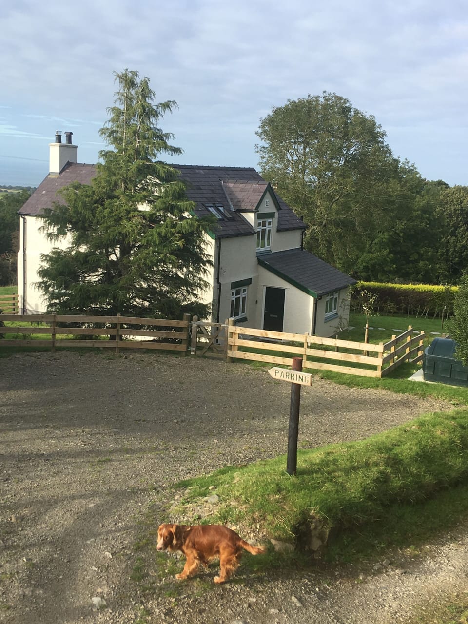 Image 11