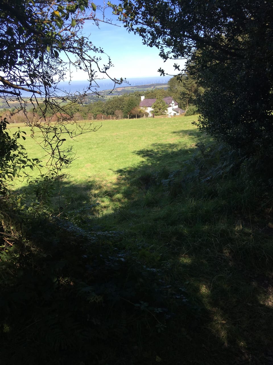 Image 9