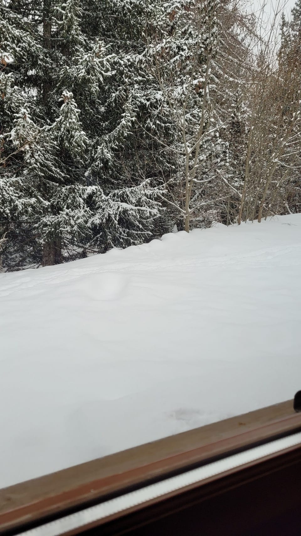 View from property