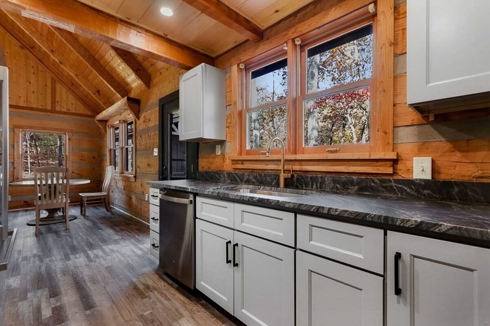 Kitchen Sink and Diswasher Area