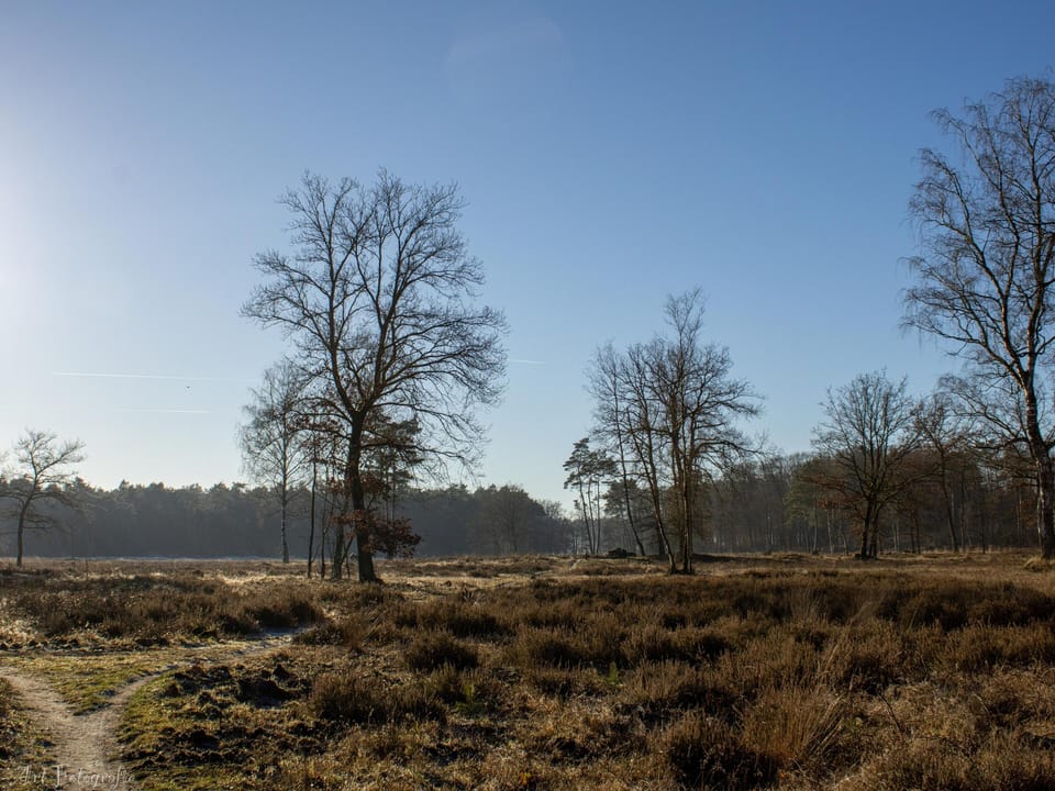Surroundings [summer] (1-5 km)